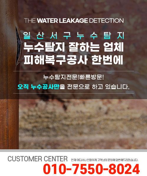 누수탐지 잘하는 업체 피해복구공사 한번에 모바일 비주얼 0